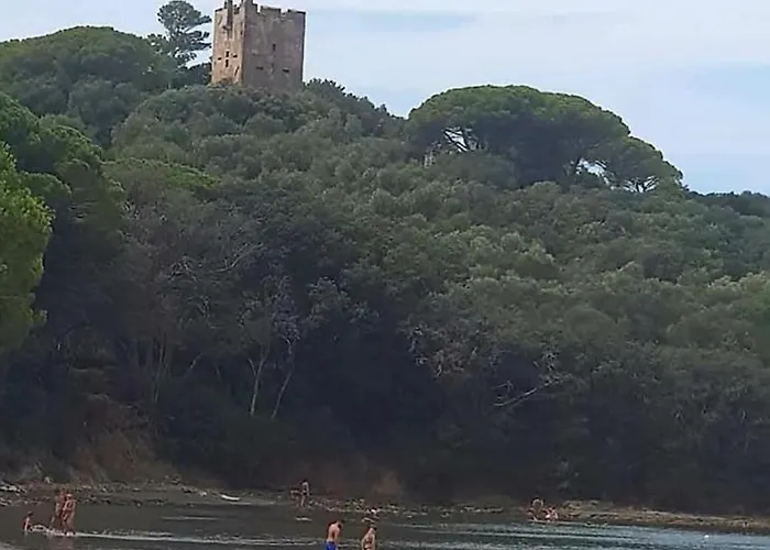 La Casa Tra I Pini