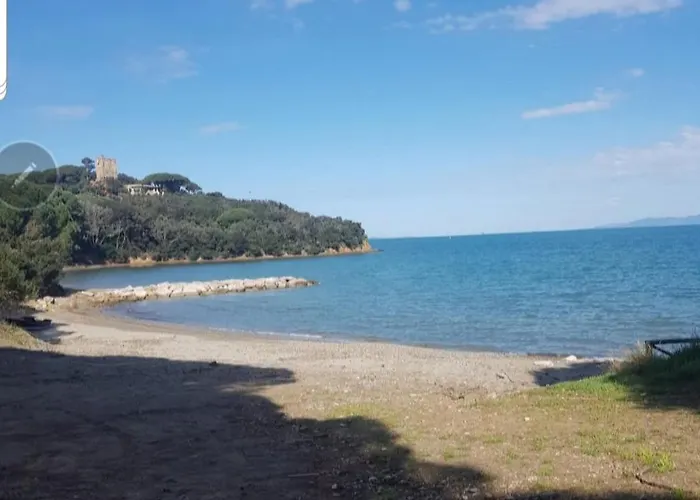 La Casa Tra I Pini