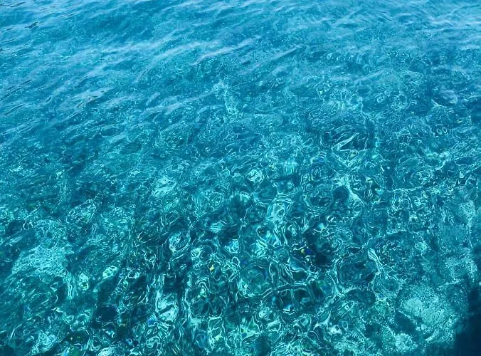 Punta Ala - Tra Mare E Natura